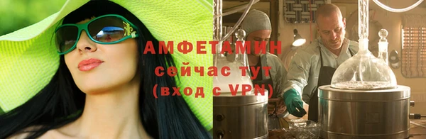 шишки Каменка