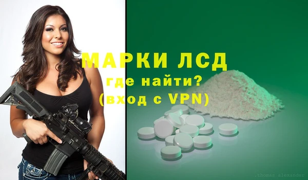 шишки Каменка