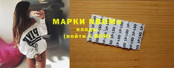 шишки Каменка