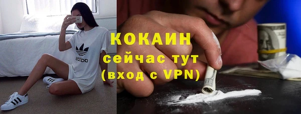 шишки Каменка