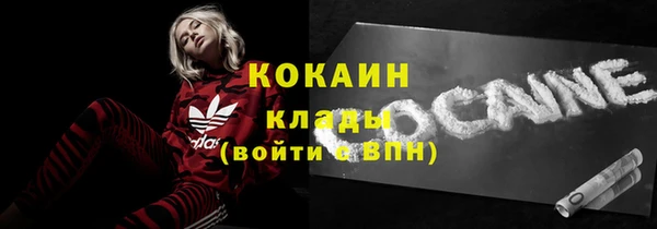 шишки Каменка