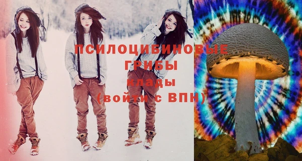 шишки Каменка