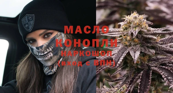 шишки Каменка