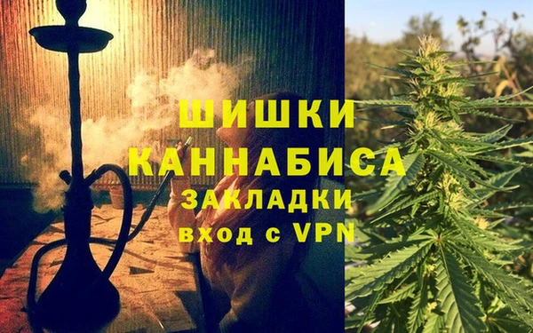 шишки Каменка